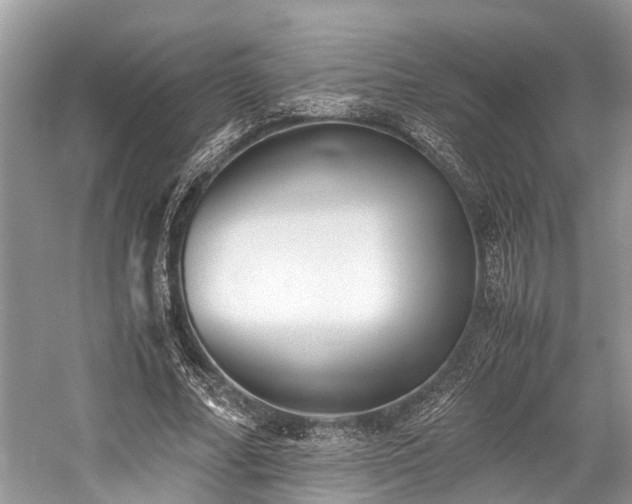 X0000059830682200510211213