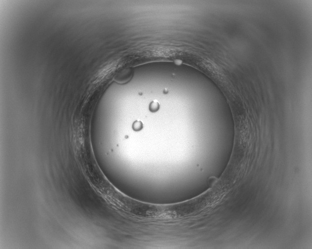 X0000059830683200510211213