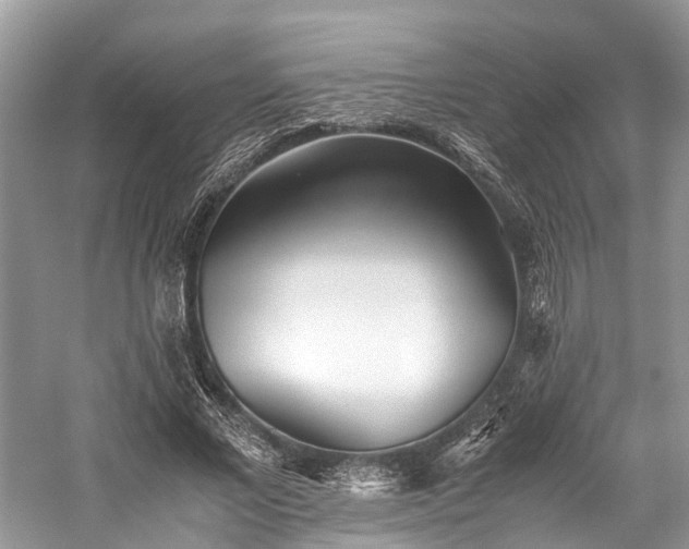 X0000059830685200510211213