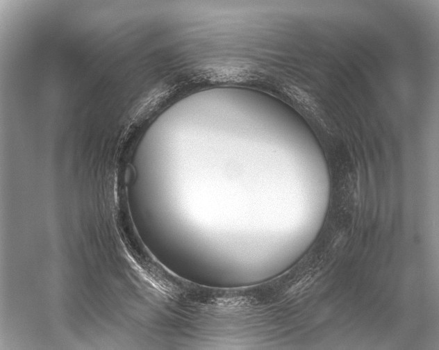 X0000059830686200510211213