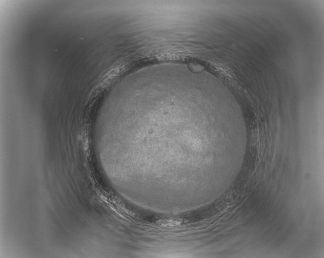 X0000059830687200510211213