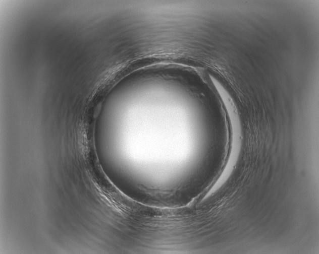 X0000059830688200510211213