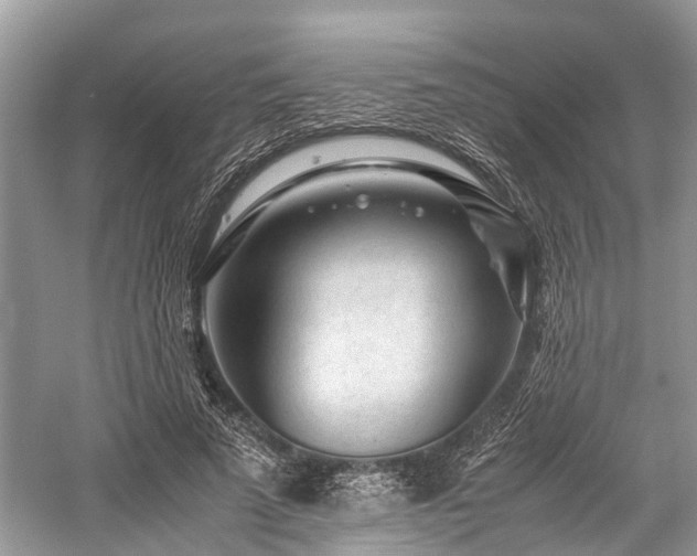 X0000059830689200510211213