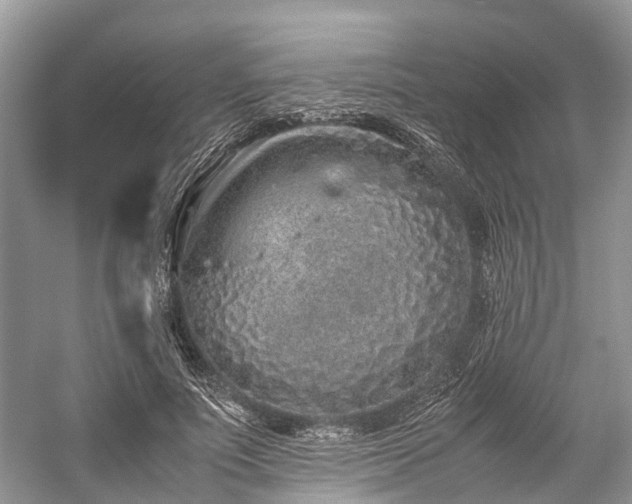 X0000059830691200510211213