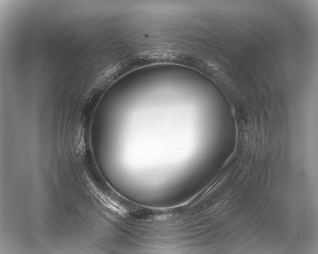 X0000059830692200510211213