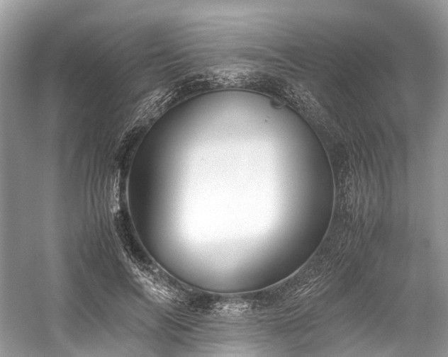 X0000059830694200510211213