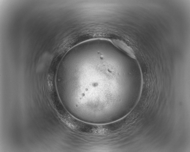 X0000059830695200510211213