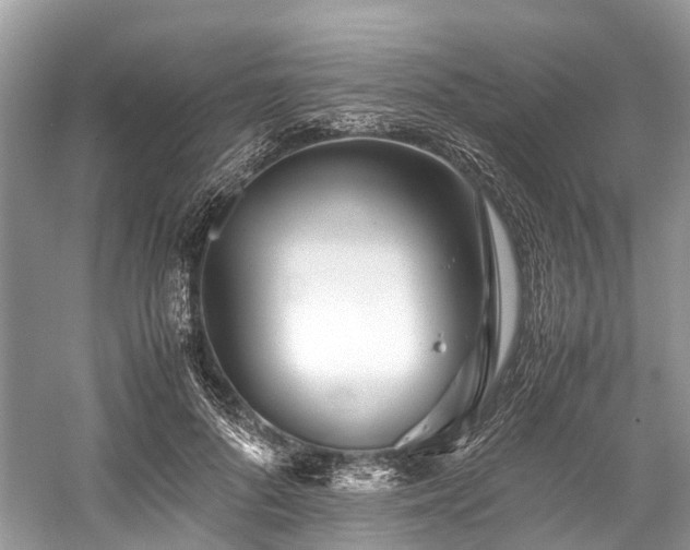 X0000059830696200510211213