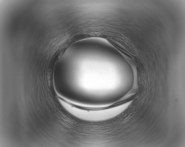 X0000059830697200510211213