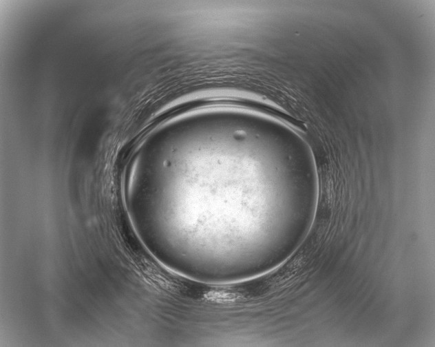 X0000059830699200510211213