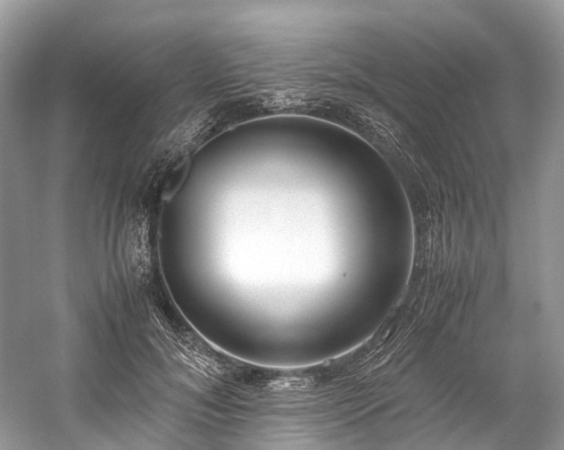 X0000059830700200510211213