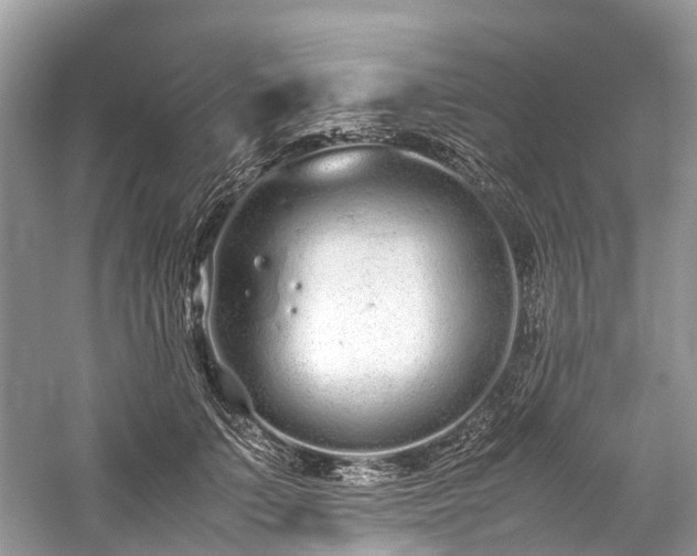 X0000059830703200510211213