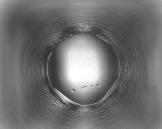 X0000059830704200510211213