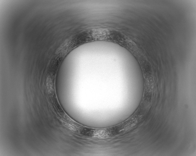 X0000059830705200510211213