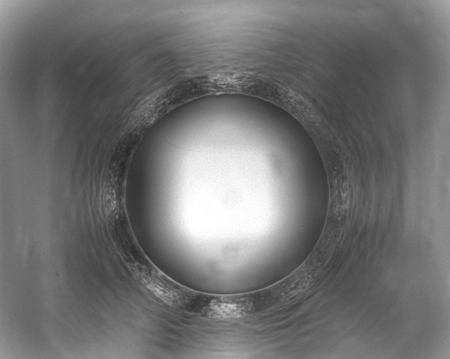 X0000059830706200510211213