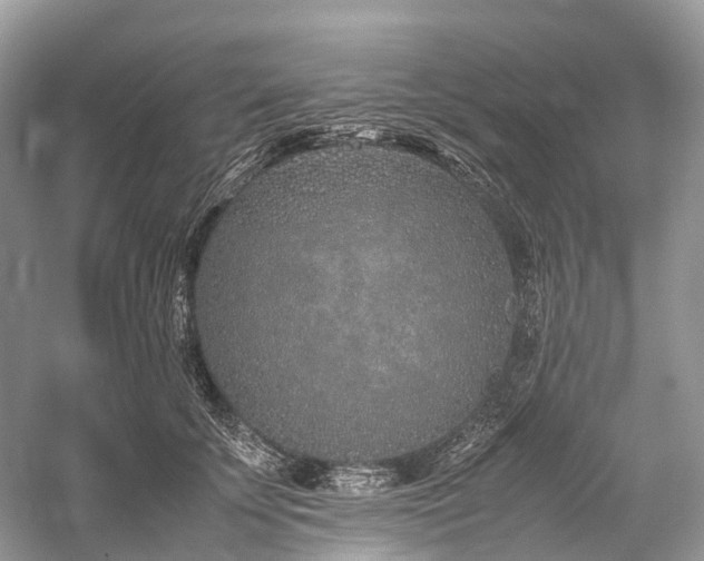 X0000059830707200510211213