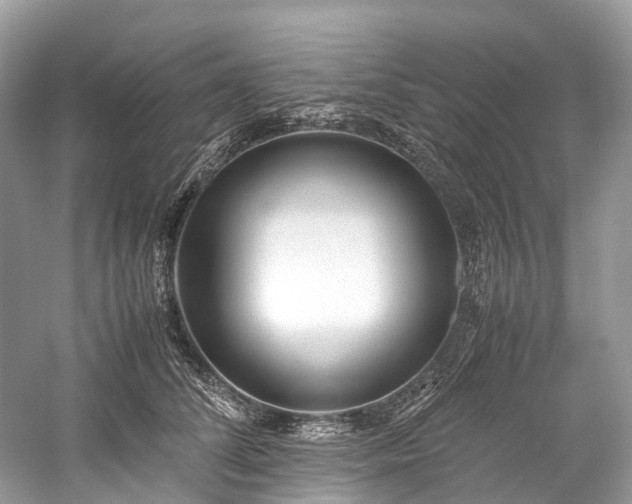 X0000059830708200510211213