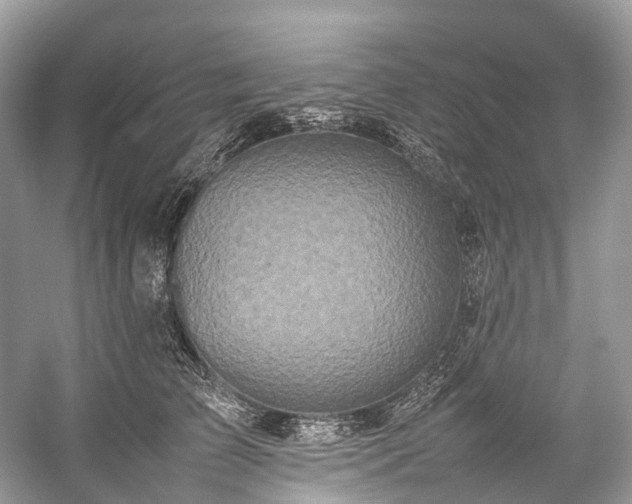 X0000059830709200510211213