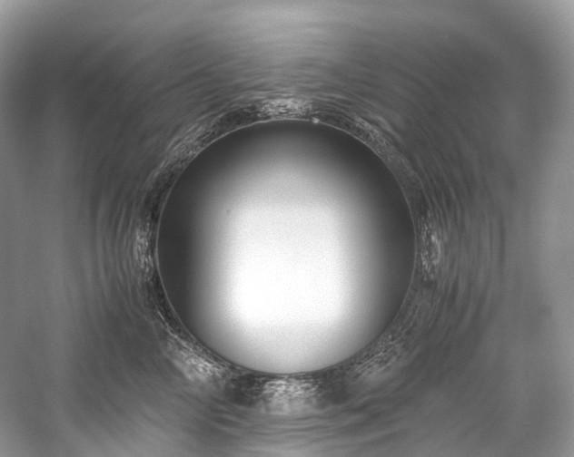 X0000059830714200510211213