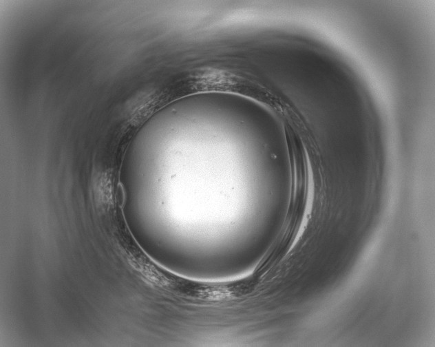 X0000059830715200510211213