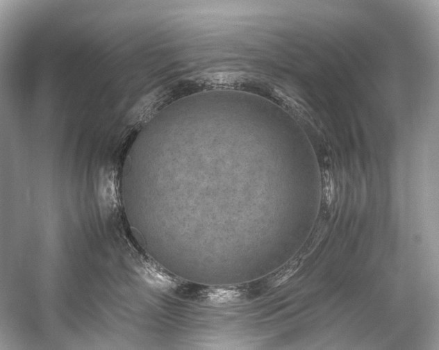 X0000059830718200510211213