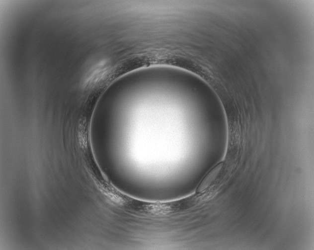 X0000059830719200510211213