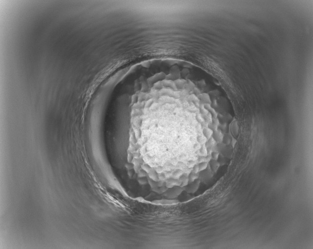 X0000059830721200510211212