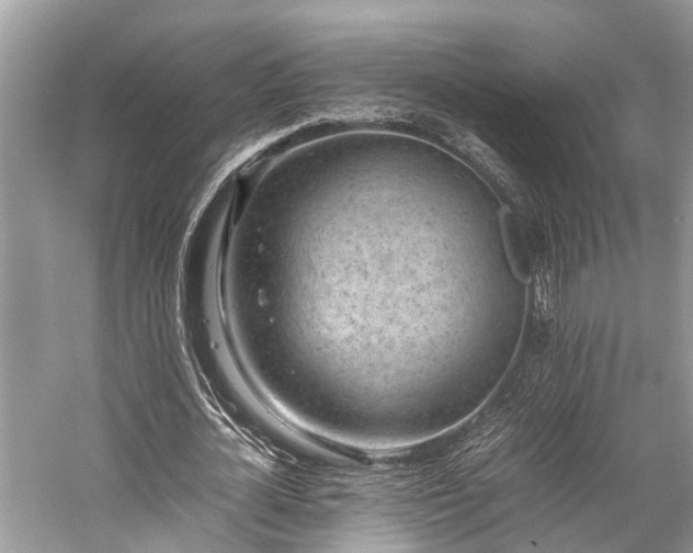 X0000059830724200510211212