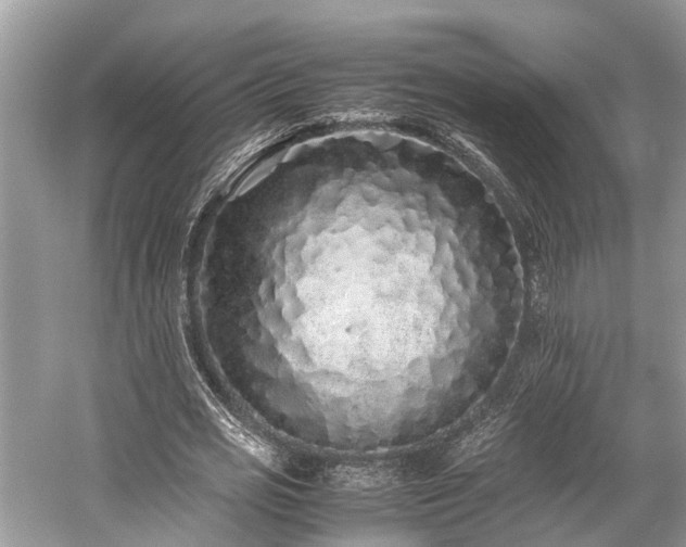 X0000059830725200510211212