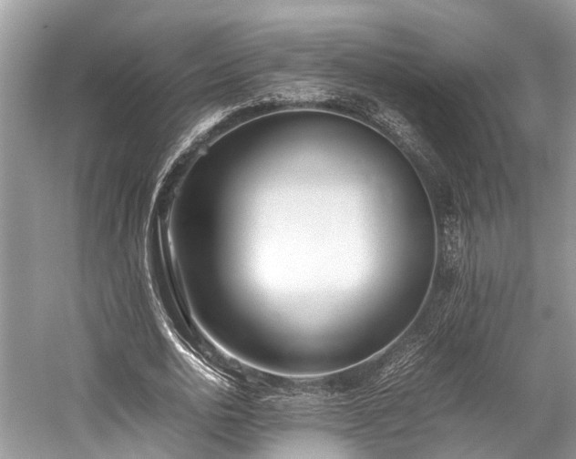 X0000059830726200510211212