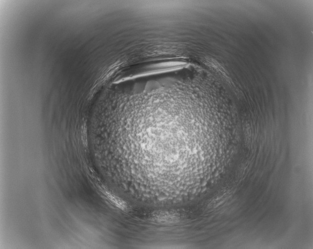 X0000059830729200510211212