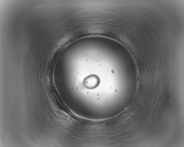 X0000059830731200510211212