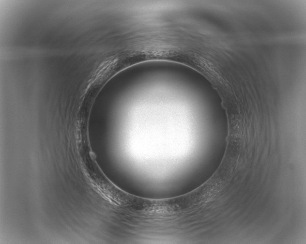 X0000059830738200510211212