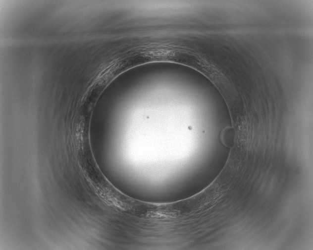 X0000059830739200510211212