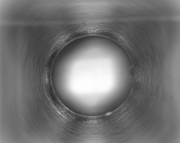 X0000059830740200510211212