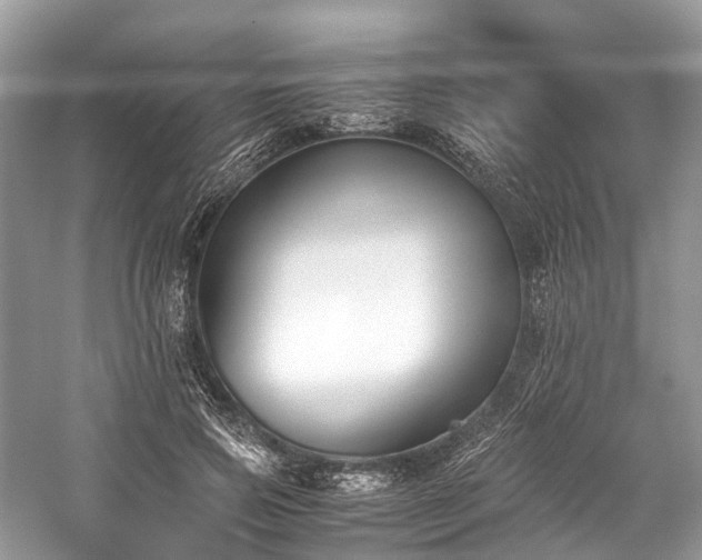 X0000059830741200510211212