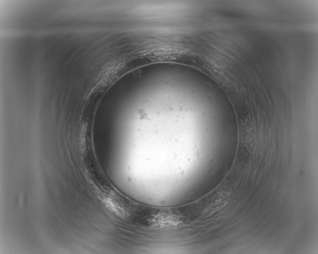 X0000059830742200510211212