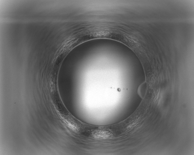 X0000059830743200510211212