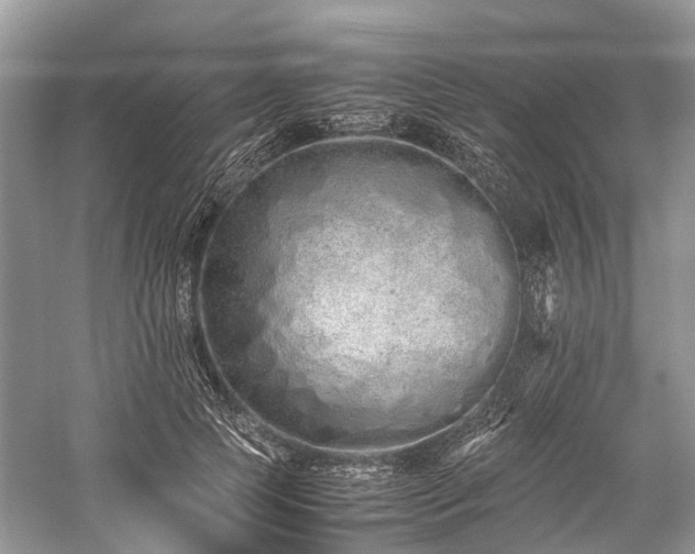 X0000059830745200510211212