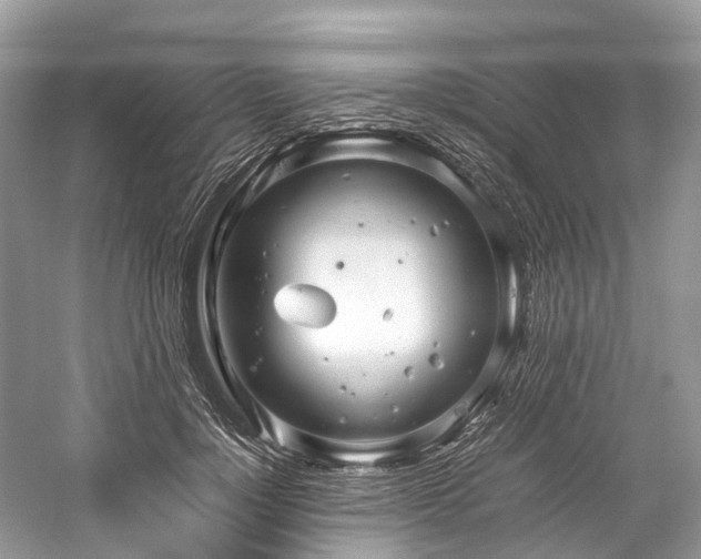 X0000059830748200510211212