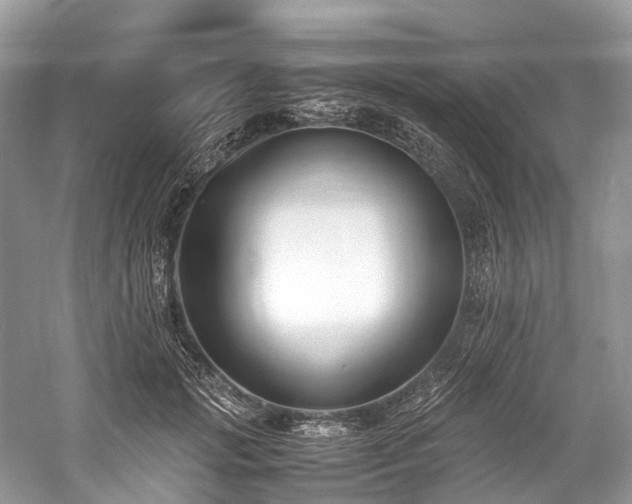 X0000059830749200510211212