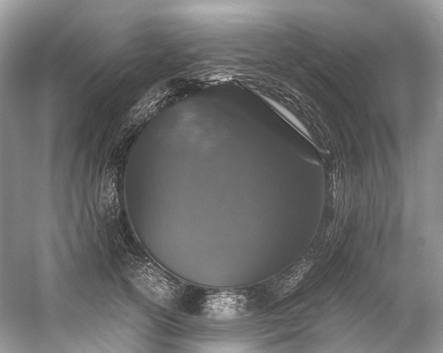 X0000059830754200510211213