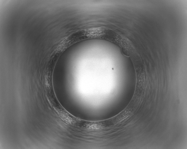 X0000059830755200510211213