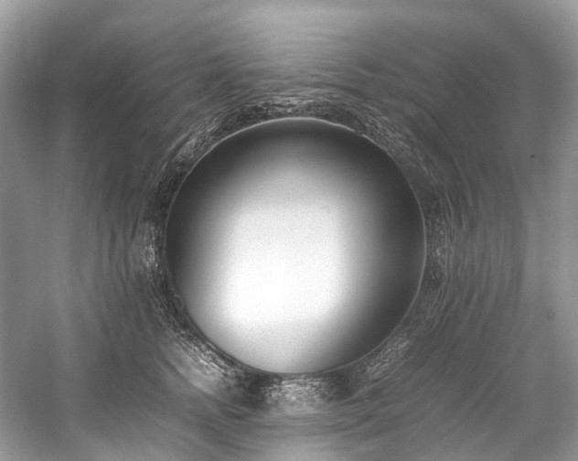 X0000059830758200510211213