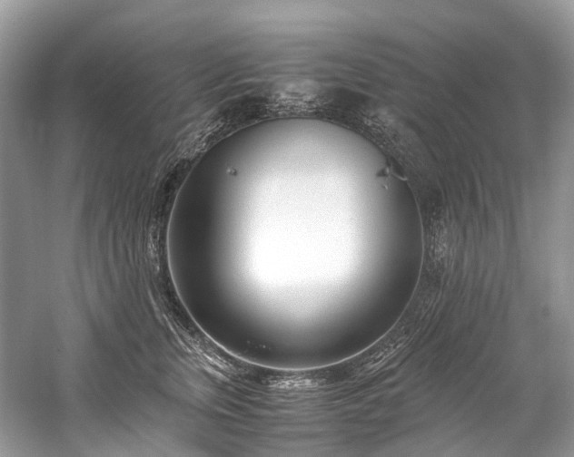 X0000059830759200510211213