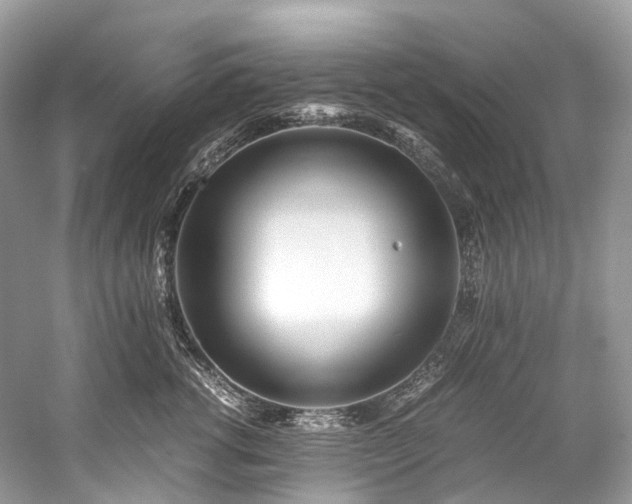 X0000059830762200510211213