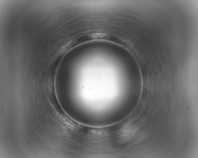 X0000059830763200510211213