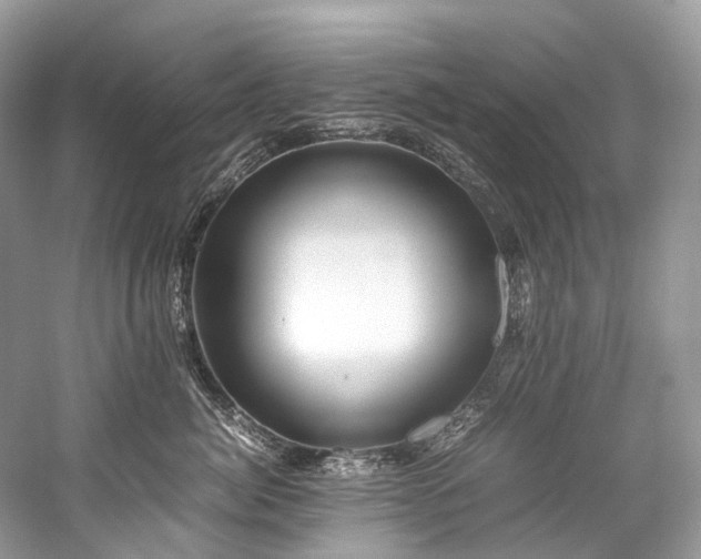 X0000059830764200510211213