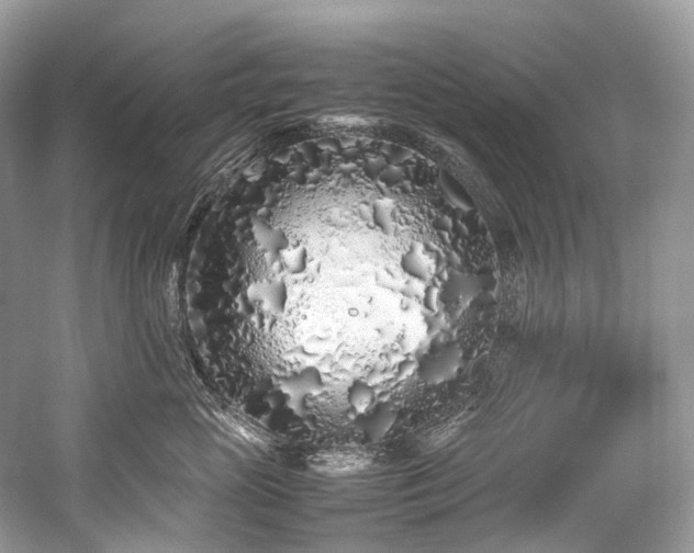 X0000059830765200510211213