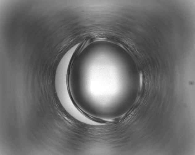 X0000059830766200510211213